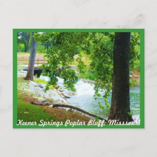 Keener Springs Poplar Bluff, Missouri Postcard