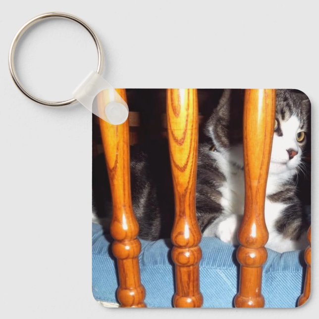 Keeno Behind Bars Keychain (Front)