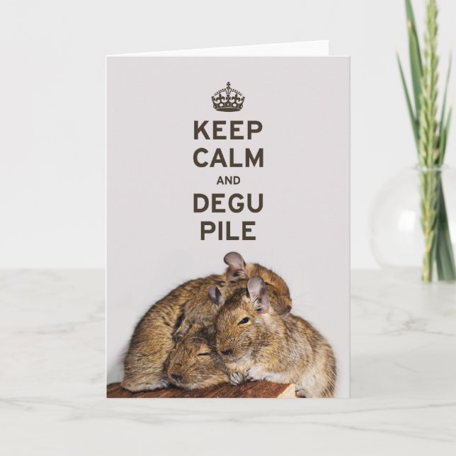 Keep Calm and Degu Pile Card (Front)
