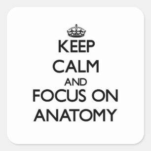 Keep Calm And Focus On Anatomy Square Sticker