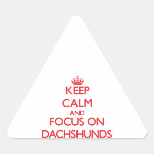 Keep Calm and focus on Dachshunds Triangle Sticker