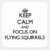Keep Calm and focus on Flying Squirrels