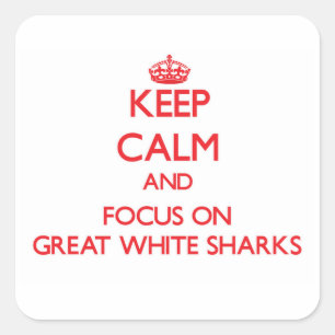 Keep Calm and focus on Great White Sharks Square Sticker