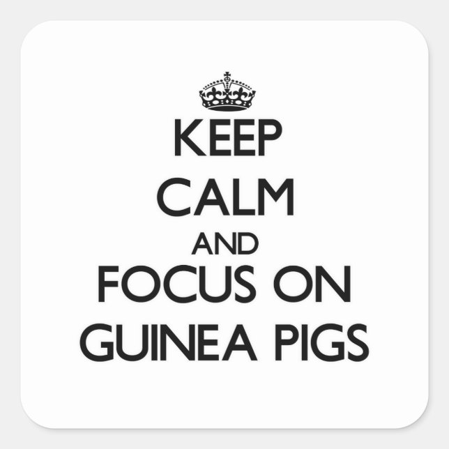 Keep Calm and focus on Guinea Pigs Square Sticker (Front)