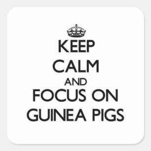 Keep Calm and focus on Guinea Pigs Square Sticker