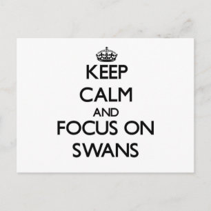Keep Calm and focus on Swans Postcard