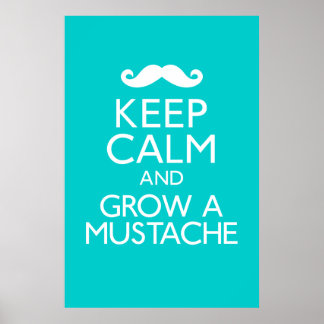 Keep Calm and Grow a Moustache Poster
