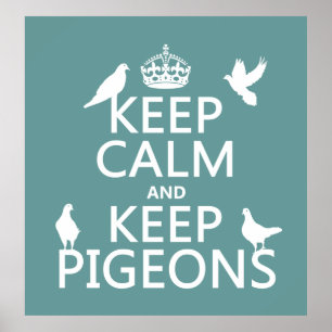 Keep Calm and Keep Pigeons - all colours Poster