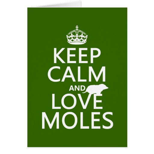 Image of Keep Calm and Love Moles (any background colour)