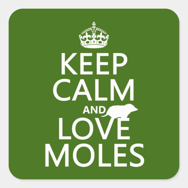 Keep Calm and Love Moles (any background colour) Square Sticker (Front)