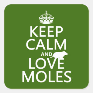 Keep Calm and Love Moles (any background colour) Square Sticker