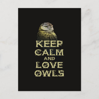 Keep Calm and Love Owls Original Owl Gift Stuff Postcard