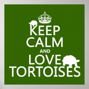 Keep Calm and Love Tortoises (any color) Poster