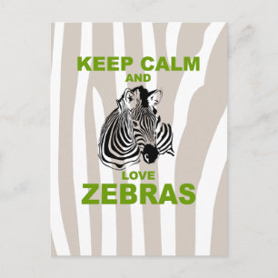 Keep Calm and Love Zebras Unique Fun Print Postcard