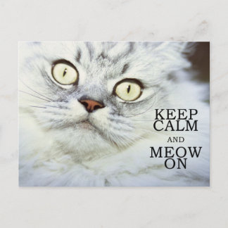 Keep Calm and Meow On Postcard