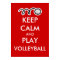 Keep calm and play volleyball | Fun sports poster