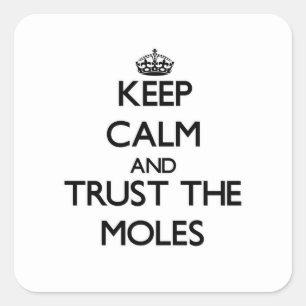 Keep calm and Trust the Moles Square Sticker