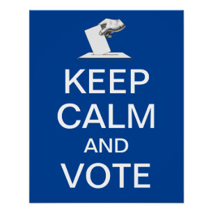 Keep Calm and Vote 2026 Poster
