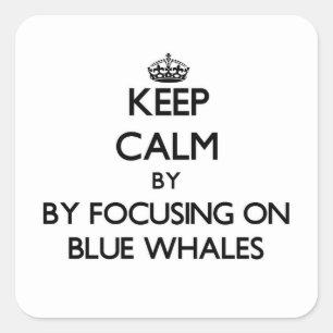 Keep calm by focusing on Blue Whales Square Sticker