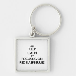 Keep Calm by focusing on Red Raspberries Key Ring