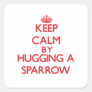 Keep calm by hugging a Sparrow Square Sticker
