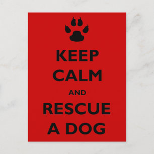 Keep calm dog rescue postcard