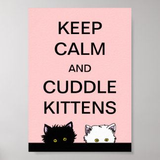 Keep Calm Kittens Poster