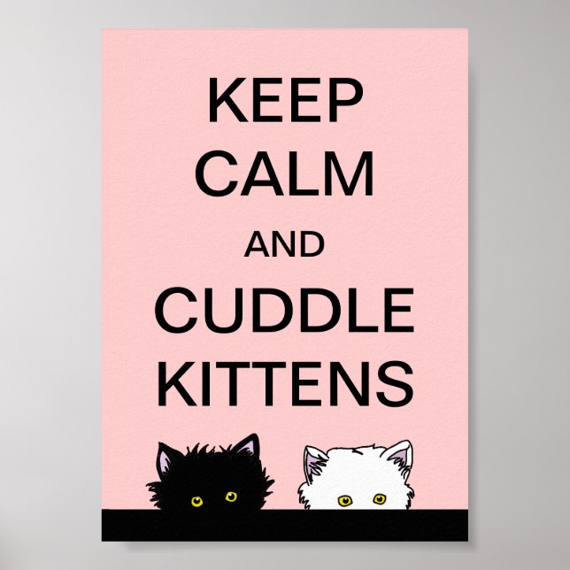 Keep Calm Kittens Poster (Front)