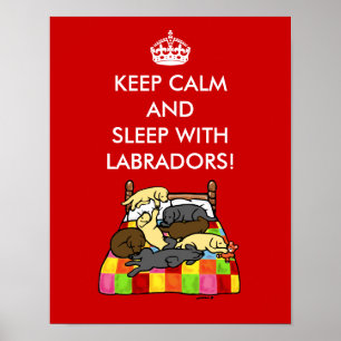 Keep Calm Labradors Poster