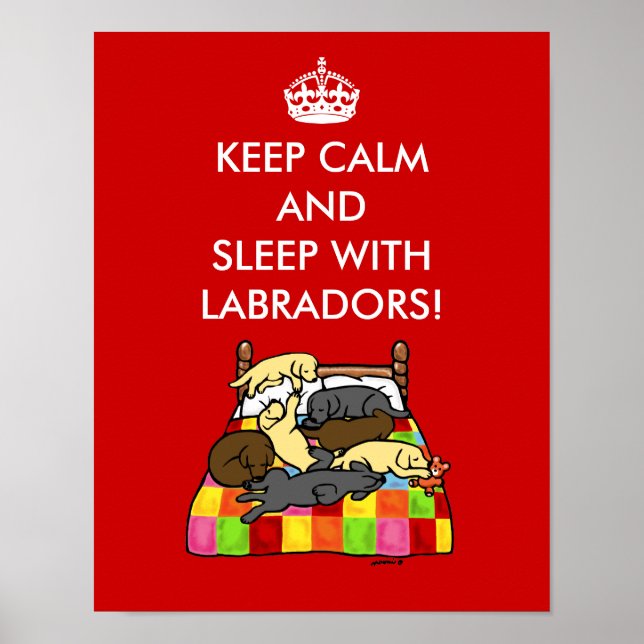 Keep Calm Labradors Poster (Front)