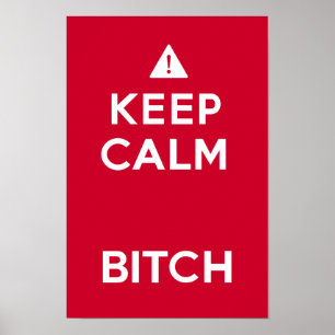 Keep Calm Parody Funny Poster