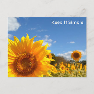 Keep It Simple with sunflowers Postcard