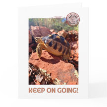 Keep on Going Inspirational coddiwompling Tortoise