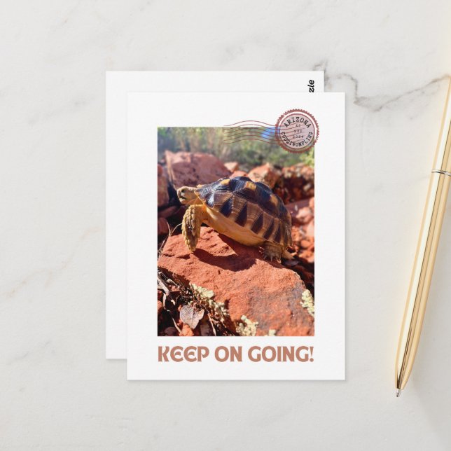 Keep on Going Inspirational coddiwompling Tortoise Postcard (Front/Back In Situ)