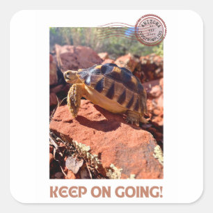 Keep on Going Inspirational coddiwompling Tortoise Square Sticker