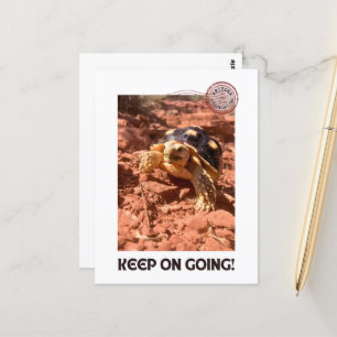 Keep on Going Inspirational coddiwompling Turtle Postcard
