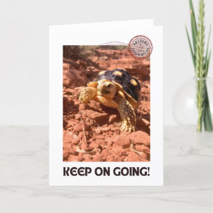 Keep on Going Inspirational coddiwompling Turtle Thank You Card