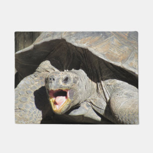 Keep Out Tortoise- Doormat