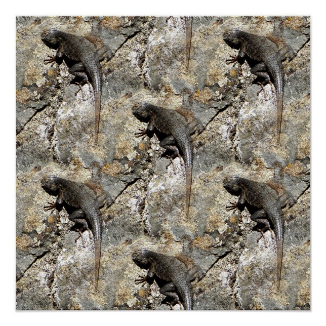 Keep right on climbing.... poster (Front)