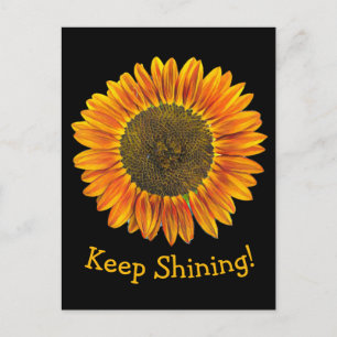 Keep Shining Yellow and Orange Sunflower on Black Postcard