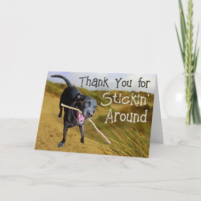 Keep Stickin' Around Thank You Card (Front)