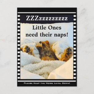 Keep the Noise Level Down Yorkie Postcard