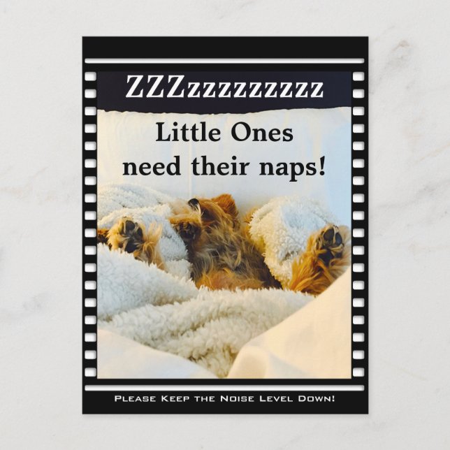 Keep the Noise Level Down Yorkie Postcard (Front)