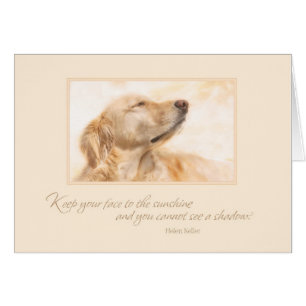 Keep Your Face to the Sunshine