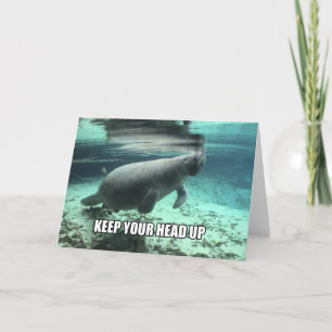 Keep Your Head Up Calming Handling Greeting Card