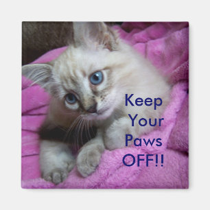 Keep Your Paws OFF!! LOCKER MAGNET
