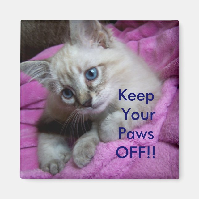 Keep Your Paws OFF!! LOCKER MAGNET (Front)