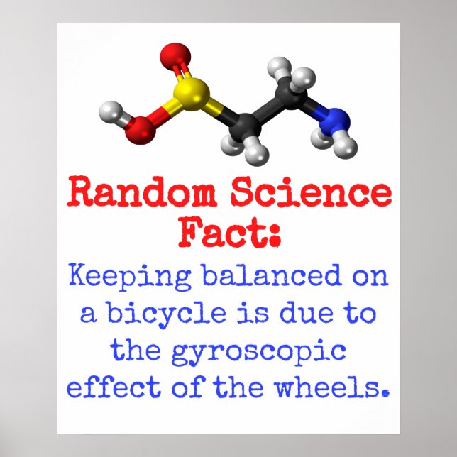 Keeping Balanced On A Bicycle - Science Fact Poster (Front)