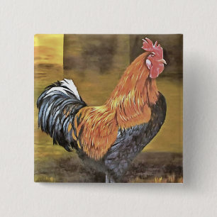 Keeping Chickens Farmyard Rooster Art  15 Cm Square Badge