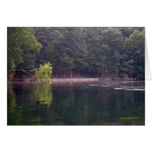 Keeping pace to a different drummer: Walden Pond